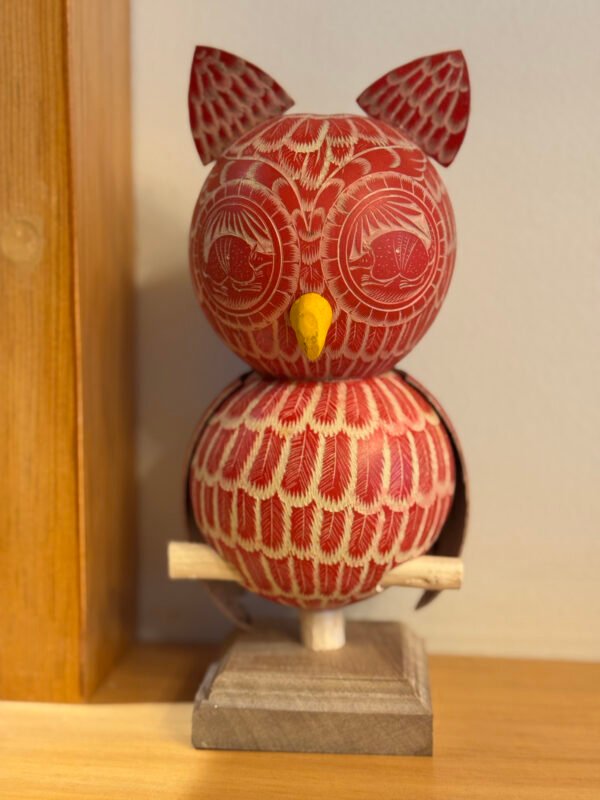 Naxhii Ñuú (Búho del pueblo)