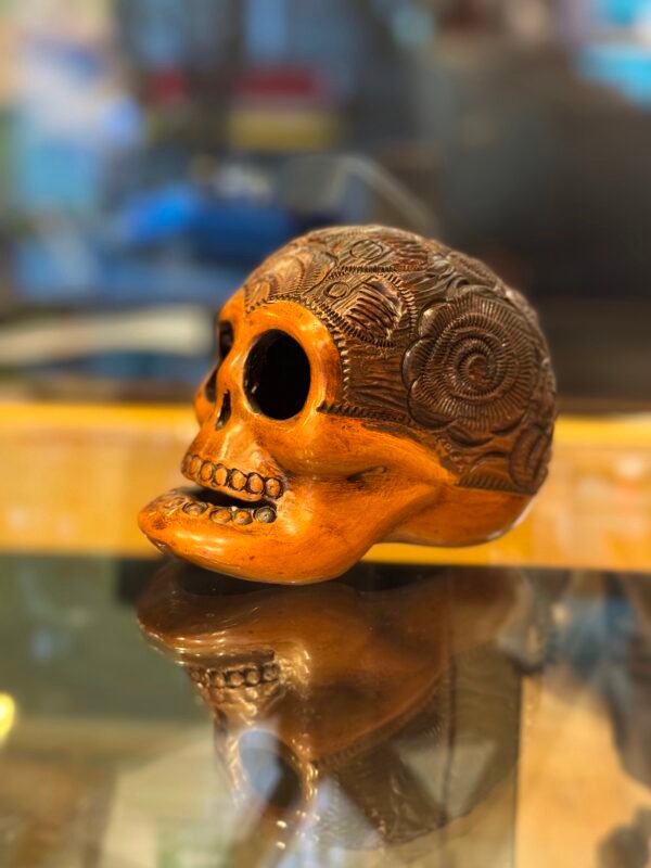 Craneo de Barro Rojo