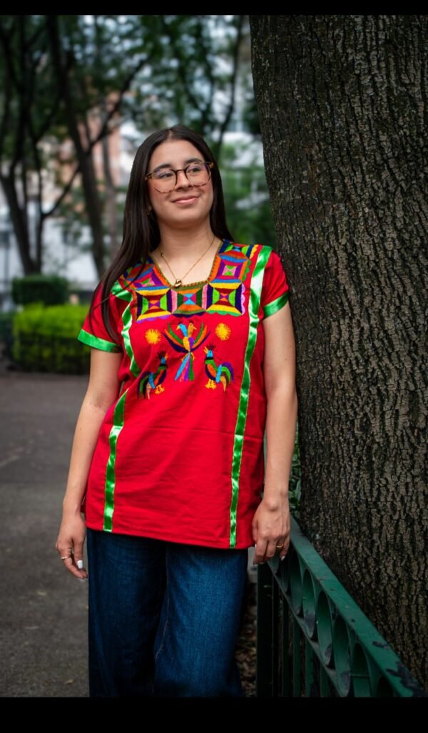 🐦 Blusa “Canto del Sol” – Huazolotitlán, Oaxaca