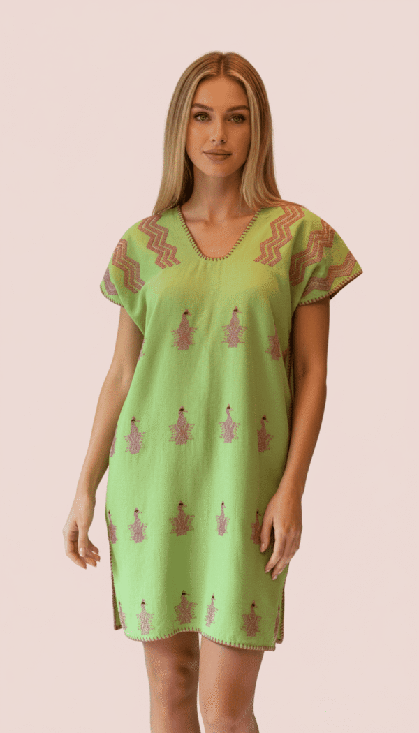 product-to-model-1764790243866 (1) 🦩 Huipil “Flamenco” – San Juan Colorado, Oaxaca